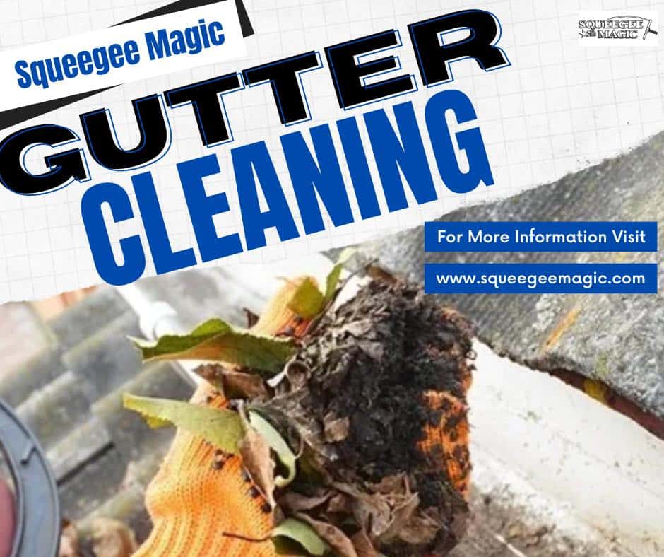 Maple Grove gutter cleaning near me