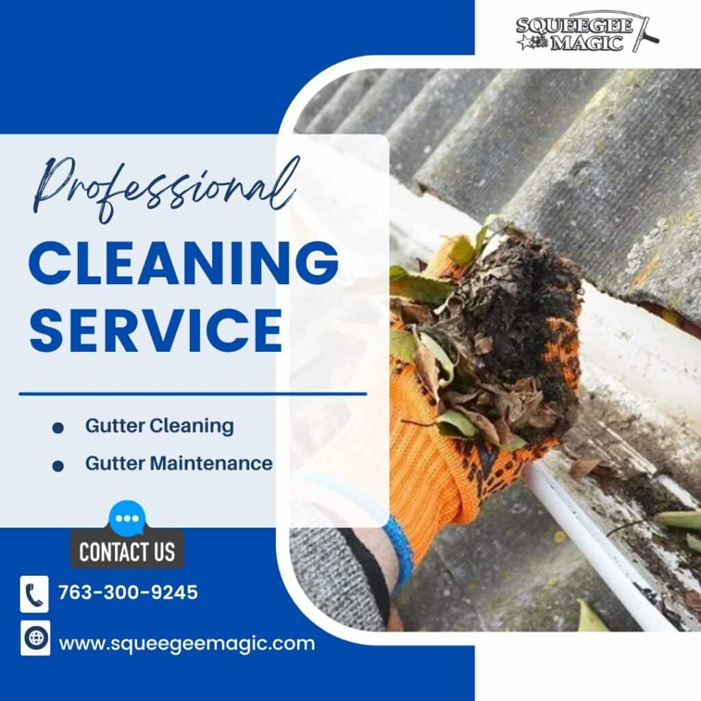 gutter cleaning Eden Prairie MN