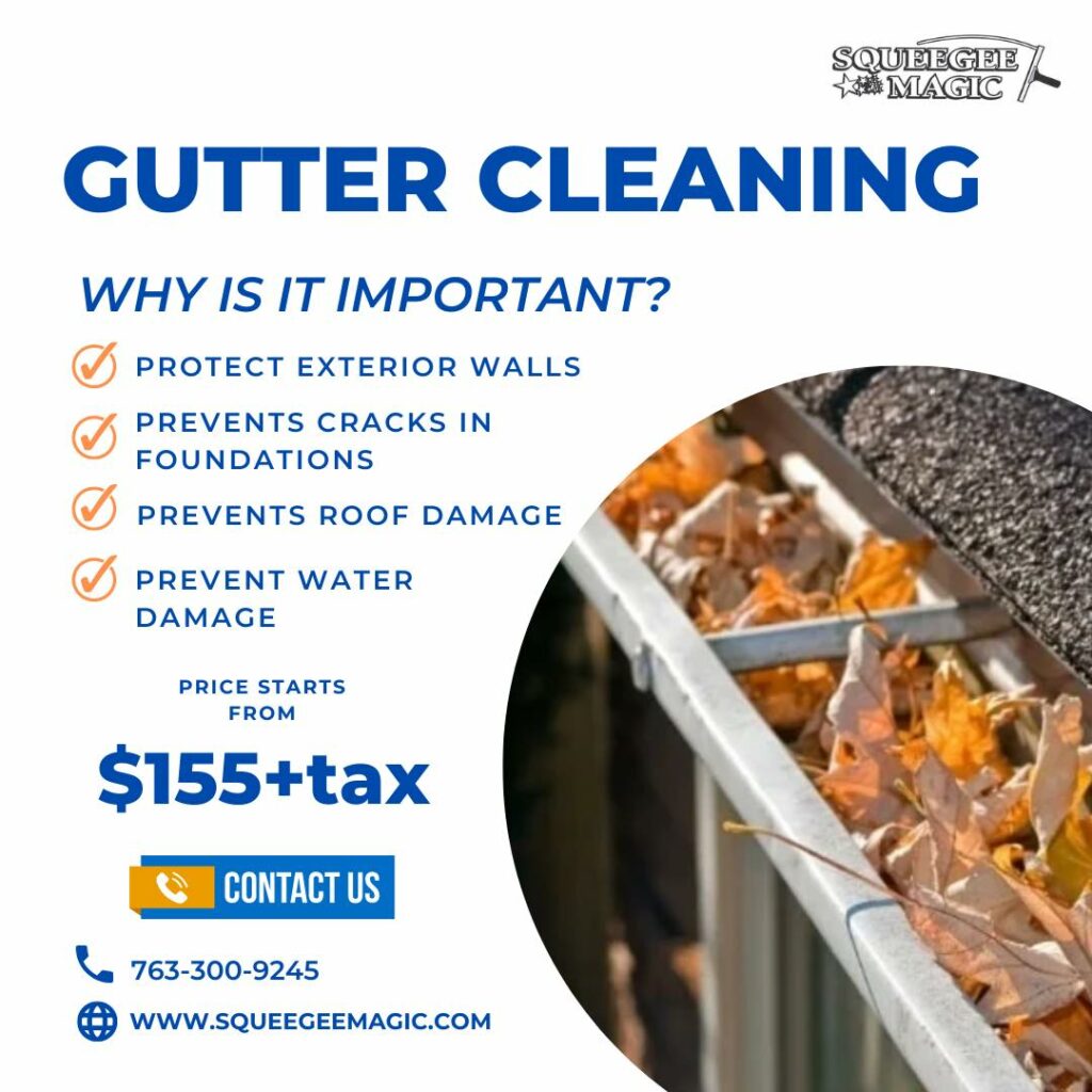 gutter cleaning Osseo