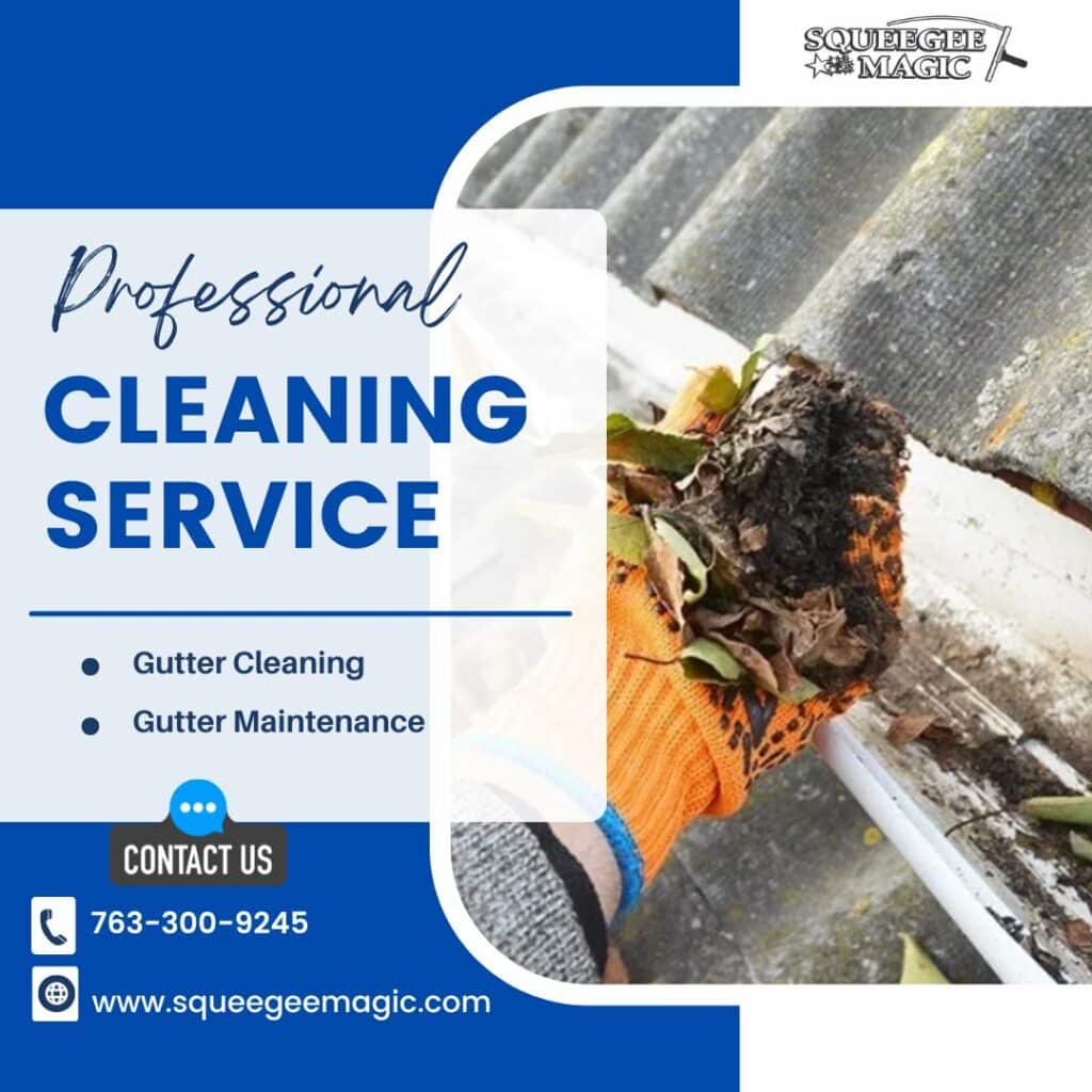 gutter cleaning Osseo MN
